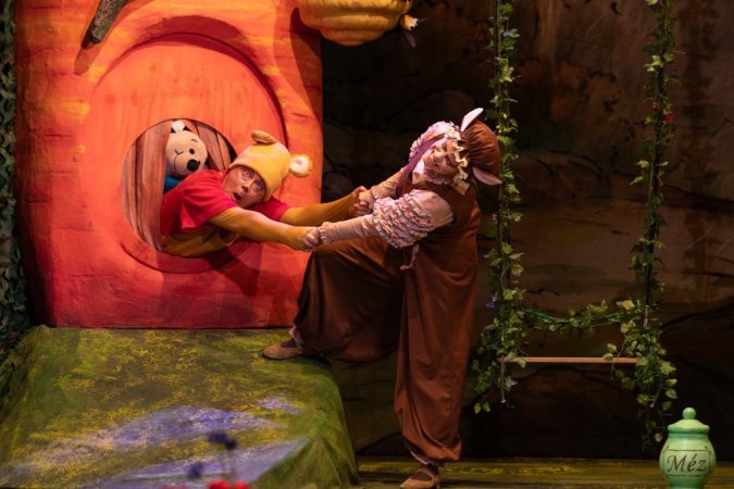 25.11.06. Kolibri_micimacko (15)