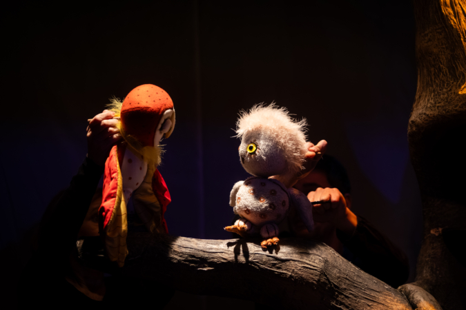 kolibri_oktober_29_bagoly_11