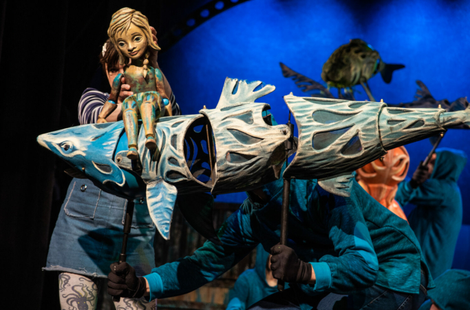 ZOI-88-e1616318311406