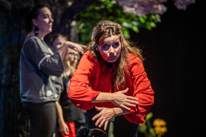 2025.11.25_kolibri-06144